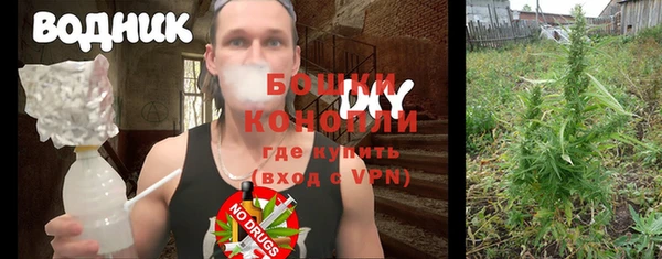 сатива Куйбышев
