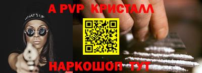 прущие грибы Абакан