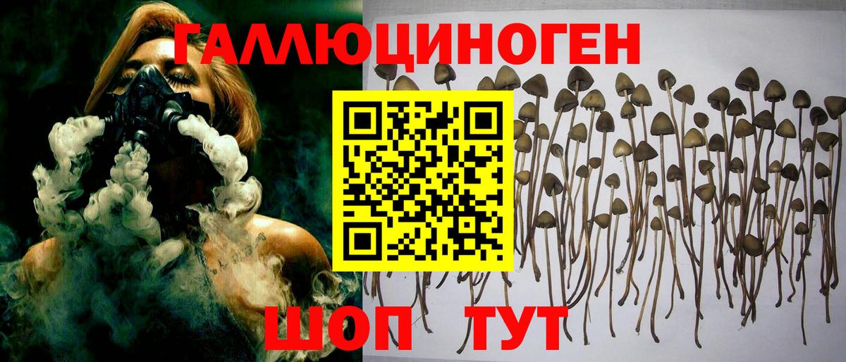 Псилоцибиновые грибы Psilocybine cubensis  как найти закладки  Бирск  Вход с VPN 